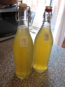 Bottled_kombucha