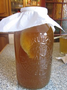 Kombucha_ready_for_second_fermentation